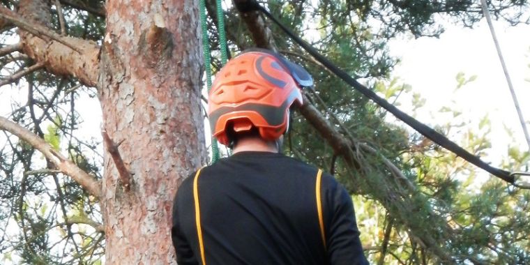 Local Tree Surgeons Directory